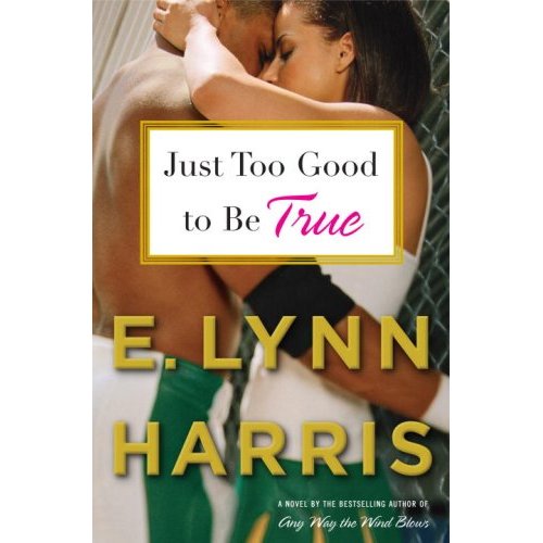 Just Too Good to Be True by E. Lynn Harris